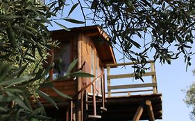 The Treehouse - Casa sull'albero al Golden Camp