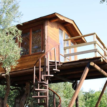 Bed and Breakfast The Treehouse - Casa sull'albero al Golden Camp Falerna Esterno foto