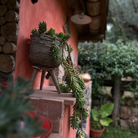 Bed and Breakfast The Treehouse - Casa sull'albero al Golden Camp Falerna Esterno foto