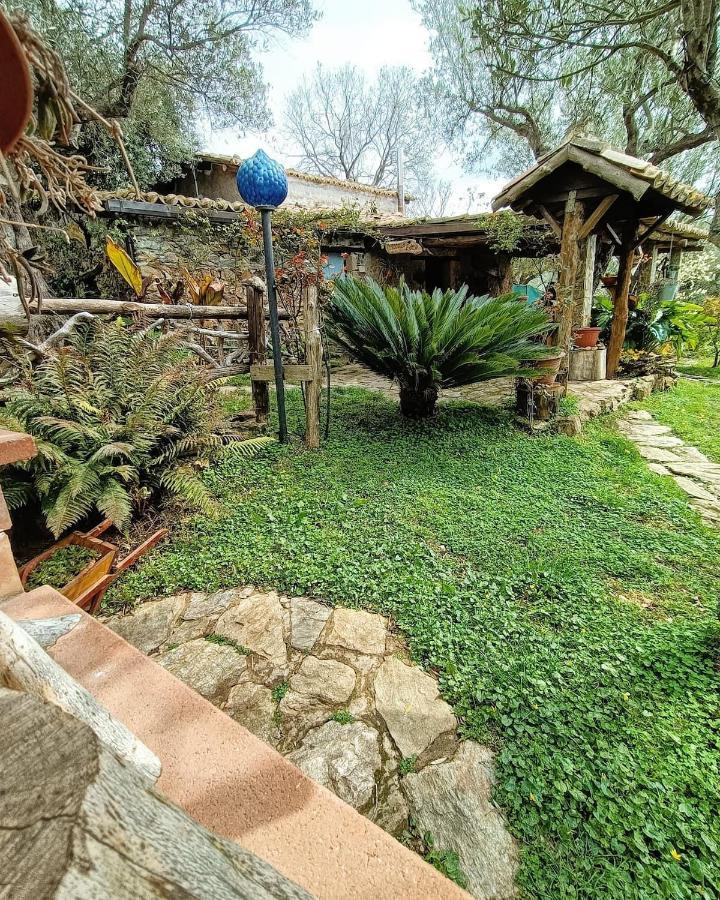 Bed and Breakfast The Treehouse - Casa sull'albero al Golden Camp Falerna Esterno foto