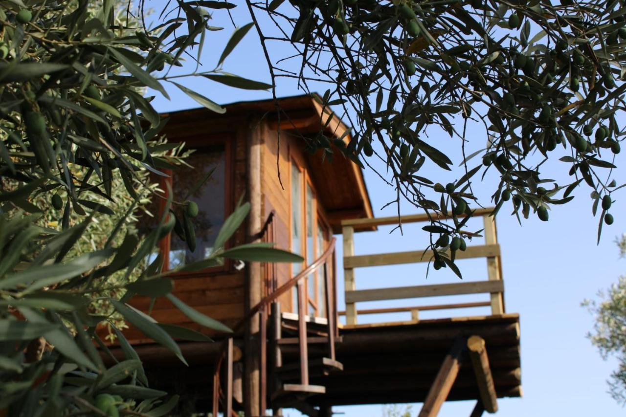 Bed and Breakfast The Treehouse - Casa sull'albero al Golden Camp Falerna Esterno foto