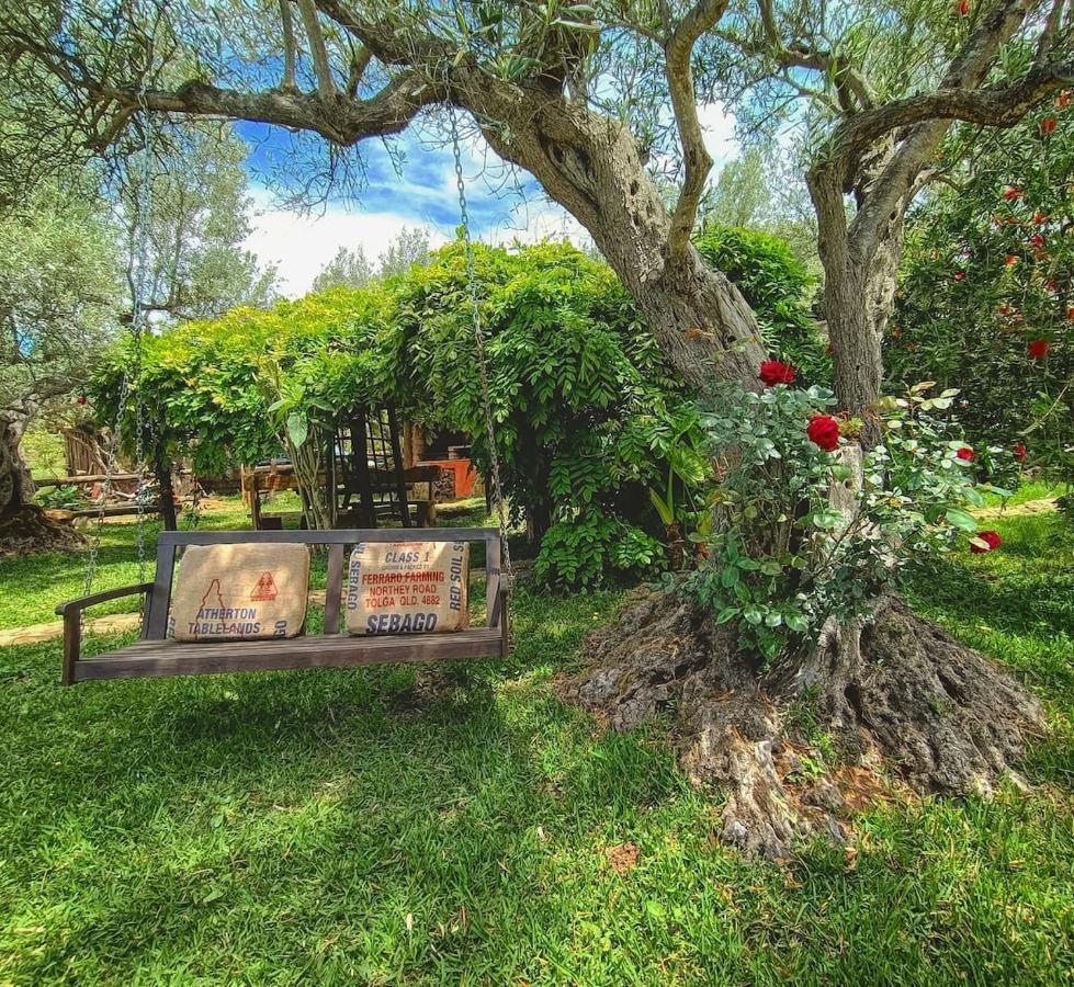 Bed and Breakfast The Treehouse - Casa sull'albero al Golden Camp Falerna Esterno foto