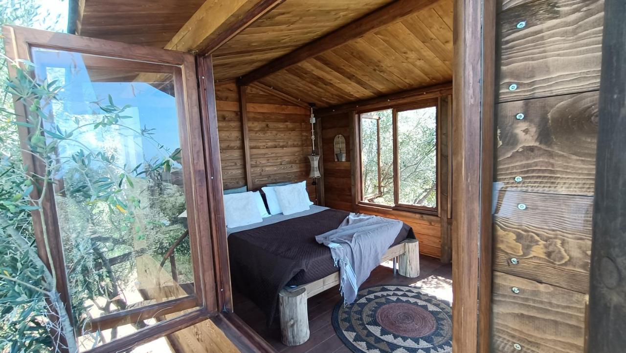 Bed and Breakfast The Treehouse - Casa sull'albero al Golden Camp Falerna Esterno foto