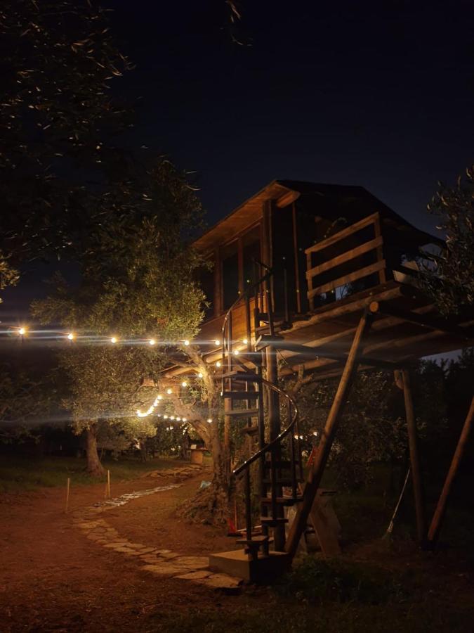Bed and Breakfast The Treehouse - Casa sull'albero al Golden Camp Falerna Esterno foto