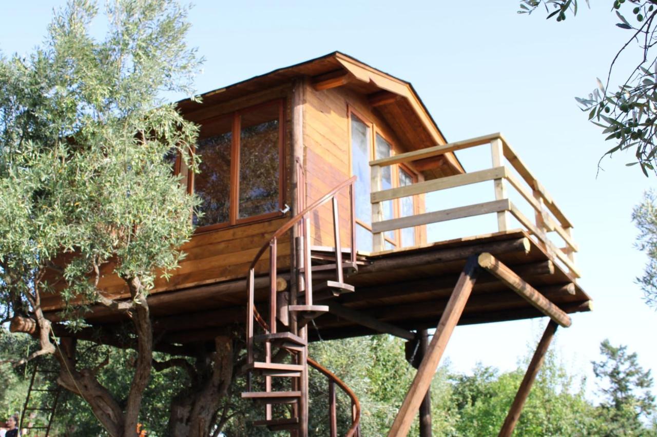 Bed and Breakfast The Treehouse - Casa sull'albero al Golden Camp Falerna Esterno foto