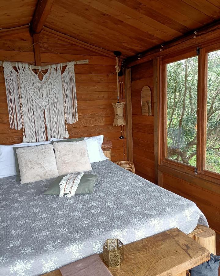 Bed and Breakfast The Treehouse - Casa sull'albero al Golden Camp Falerna Esterno foto