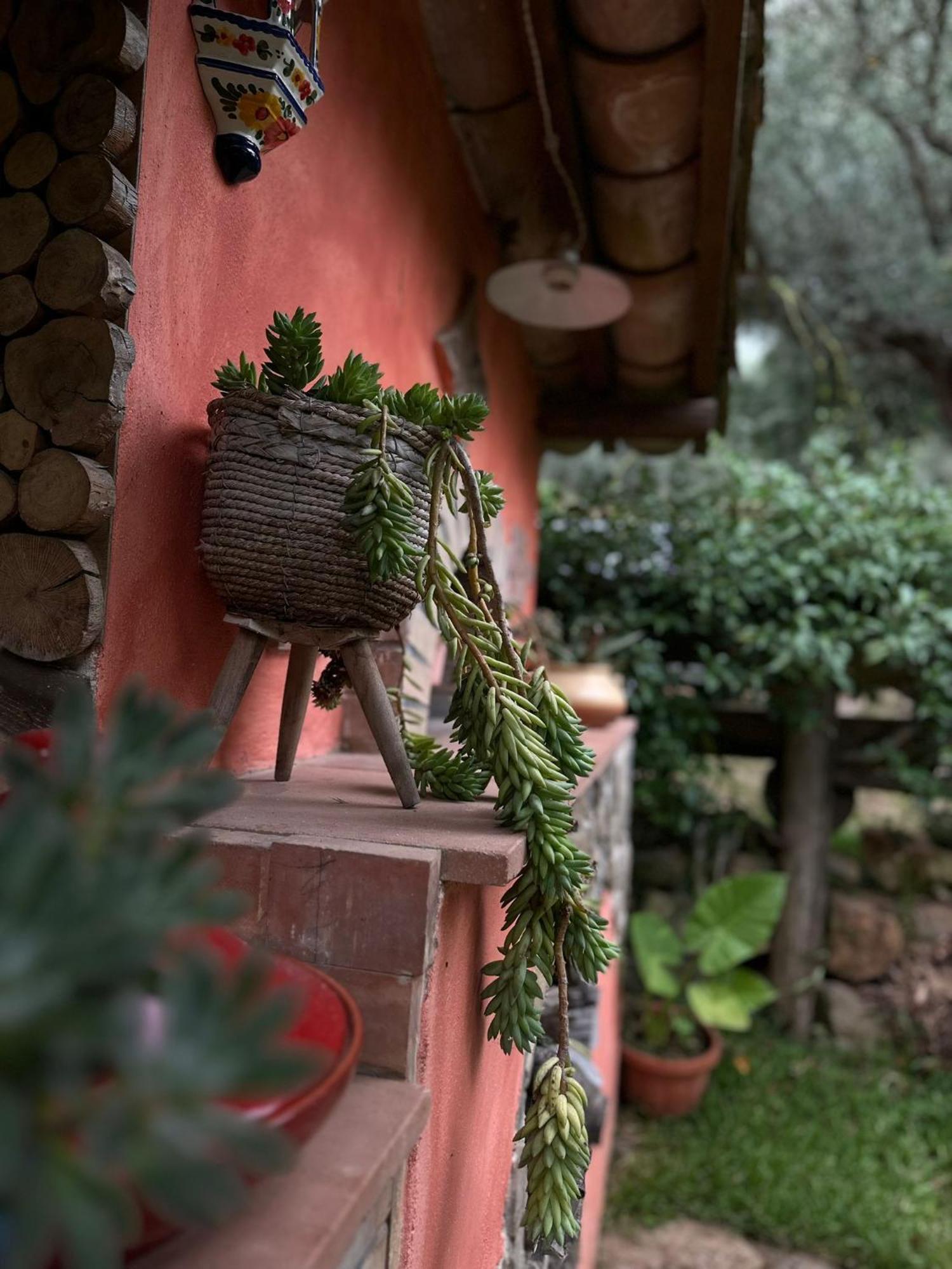 Bed and Breakfast The Treehouse - Casa sull'albero al Golden Camp Falerna Esterno foto